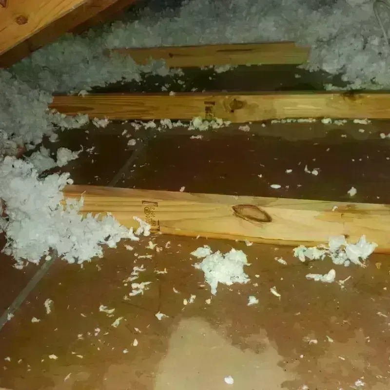 Attic Water Damage in Greendale, IN